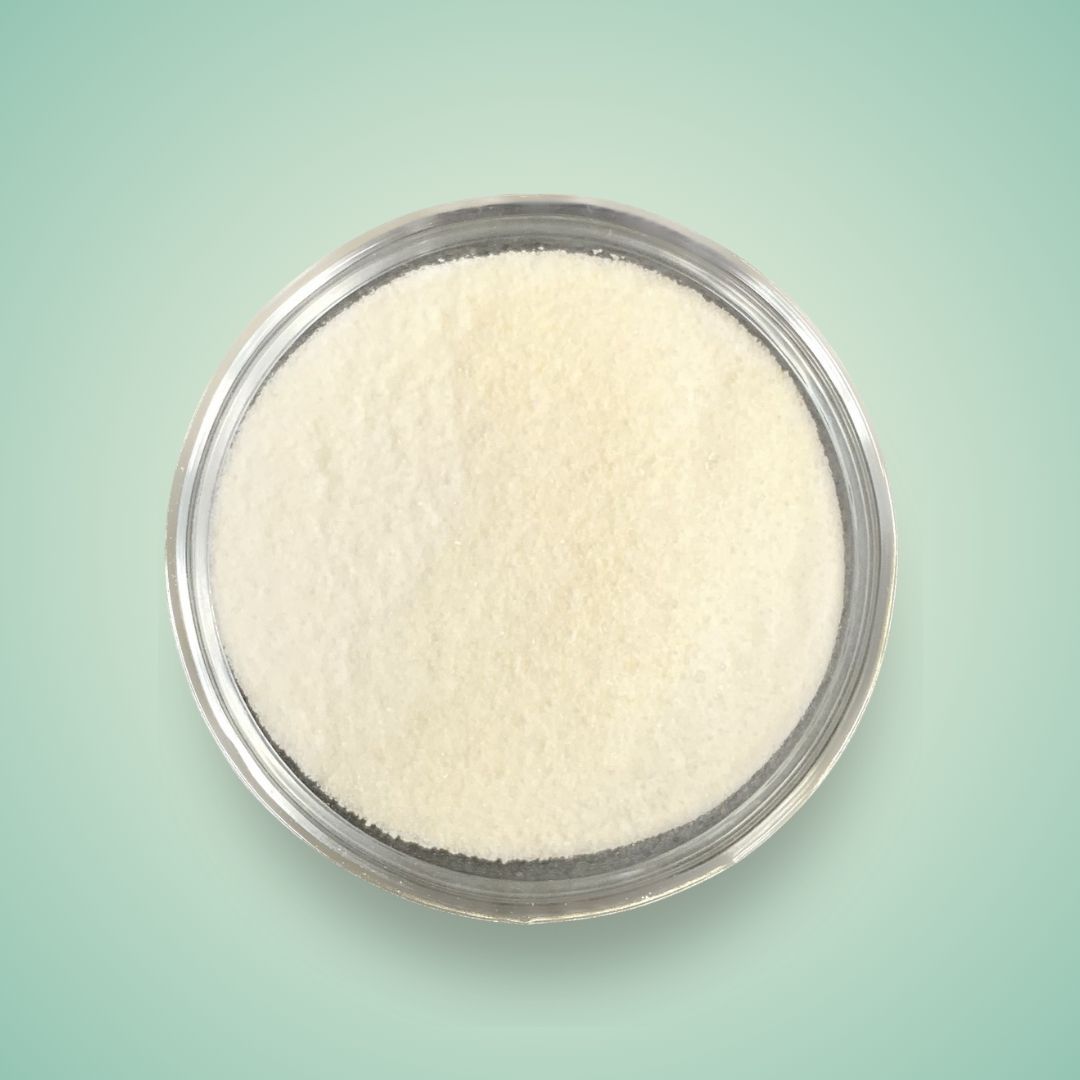 Cheese Milk Foam Powder