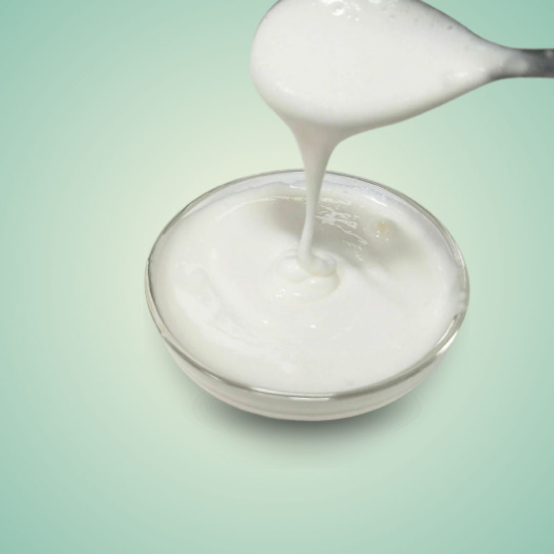 Cheese Milk Foam Powder