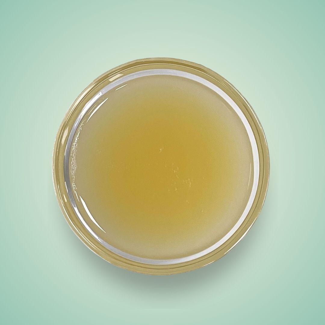 Yoghurt Flavoured Syrup