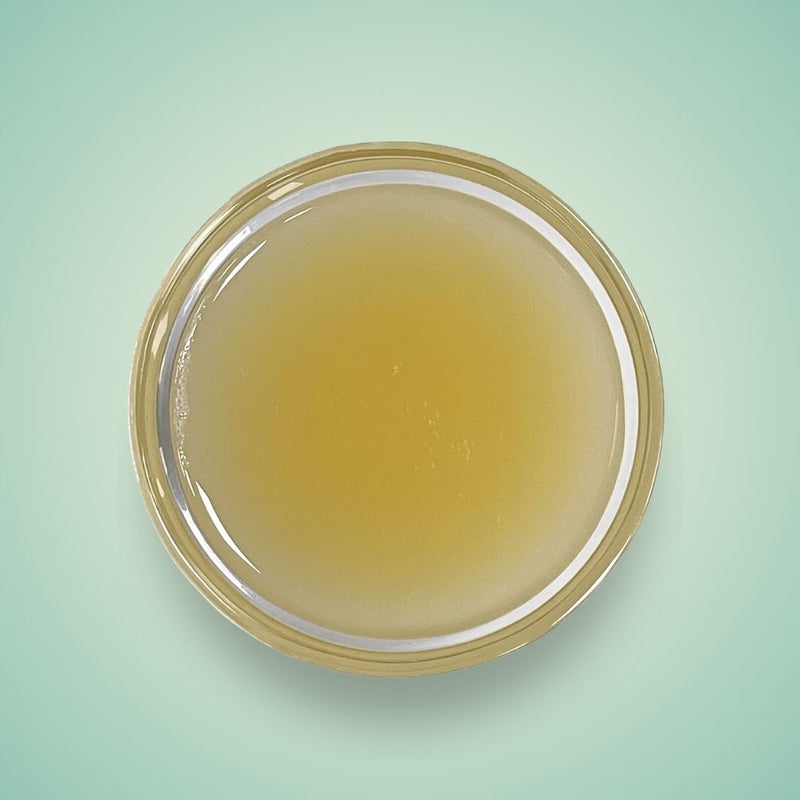 Yoghurt Flavoured Syrup